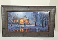 Beautiful black rough for sale  Clear Lake