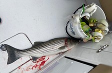 Jobes custom tackle for sale  Medford