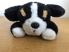 Black white puppy for sale  DINAS POWYS