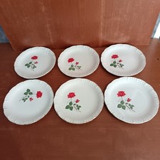Assiettes plates digoin d'occasion  Aubin