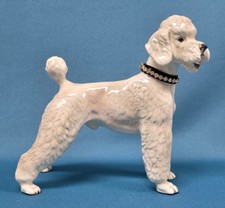standard poodles for sale  Anchorage