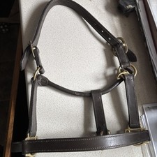 Leather headcollar brass for sale  CARMARTHEN