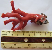 Mediterranean precious red for sale  Caribou