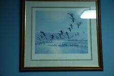 Peter scott greylags for sale  LOUTH