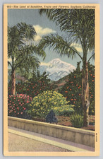 Postcard snow capped for sale  Mount Holly