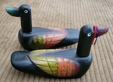 female ducks for sale female ducks for sale Clovis
