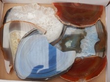 Lot achatscheiben versteinerte gebraucht kaufen Lot achatscheiben versteinerte gebraucht kaufen  Dautphetal