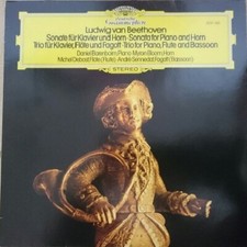 Beethoven sonate für usato  Folignano
