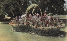 Tours jardin botanique d'occasion  France