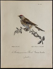 1830 sizerin flammé d'occasion  France