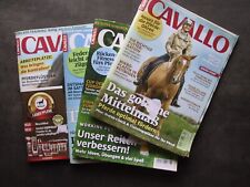 Cavallo 2019 pferde gebraucht kaufen  Katlenburg-Lindau