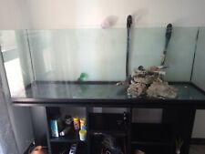 Acquario vetro aperto usato  Orte