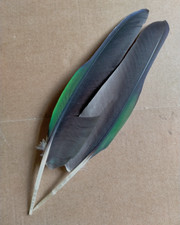 Fly tying native for sale  UK