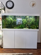 Juwel rio 450 gebraucht kaufen  Garrel