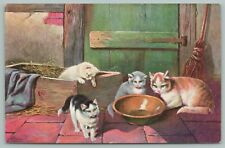 Cats kittens barn for sale  Newton