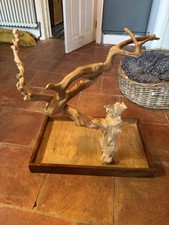 Java wood tree for sale  HUNSTANTON