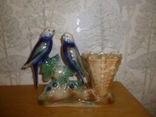 pair budgies for sale pair budgies for sale HUNTLY