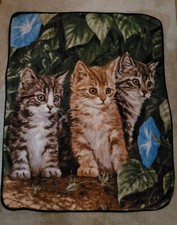 Kitten cat blanket for sale  Spanaway