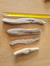 Schwemmholz treibholz gebraucht kaufen  Herten