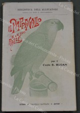 Budan emilio. pappagallo usato  Pistoia
