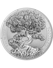 Yggdrasil foresta mitica usato  Italia