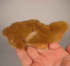 4.7 golden yellow for sale  Acworth