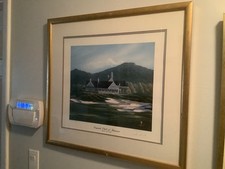 Legends golf franklin for sale  Spring Hill