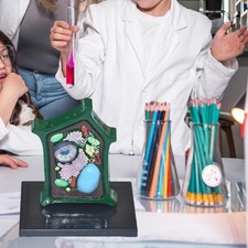 Modello cellula vegetale usato  Spedire a Italy