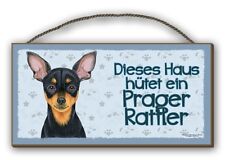 Dieses haus hütet gebraucht kaufen  Braunschweig