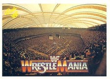 Pontiac silverdome 1990 for sale  Mechanicsburg