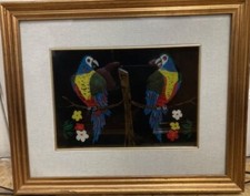 Quadro due pappagalli usato  Forli