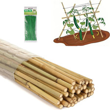 Bamboo stakes 100 for sale  Denver