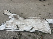 Weatherbeeta fly rug for sale  NOTTINGHAM