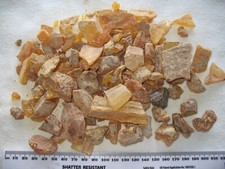 Miocene pliocene colombian for sale  WAKEFIELD