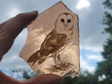 Stained glass owl for sale  BATTLE
