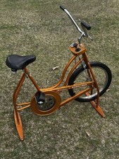 Vintage schwinn exerciser for sale  Three Rivers