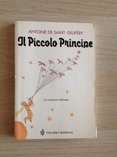 Piccolo principe antoine usato  Val Masino