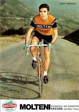 Eddy merckx molteni usato  Biassono