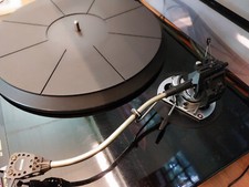 Teksonor sme goldring usato  Villasanta