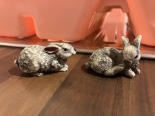 Two cute grey for sale  LOWESTOFT
