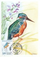 Maximaphilie carte maximum d'occasion  Toulon-