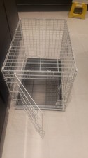 Medium sized dog for sale  ILKLEY