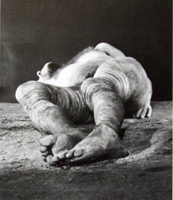 Dieter appelt mounted for sale  LEICESTER