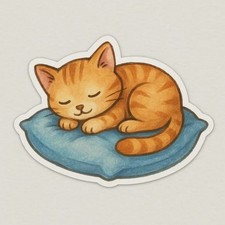 Gattino che dorme usato Gattino che dorme usato  Spedire a Italy