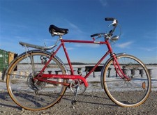 1975 chicago schwinn for sale  Payson