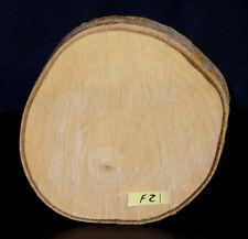 Pappel baumscheibe holzscheibe gebraucht kaufen  Grasberg