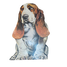 Vintage hush puppies for sale  Lexington