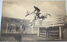 1913 cartolina ippica usato  Roma