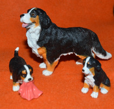 Trio bernese mountain for sale  Neptune