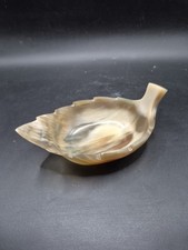 Vintage cow horn for sale  BIDEFORD